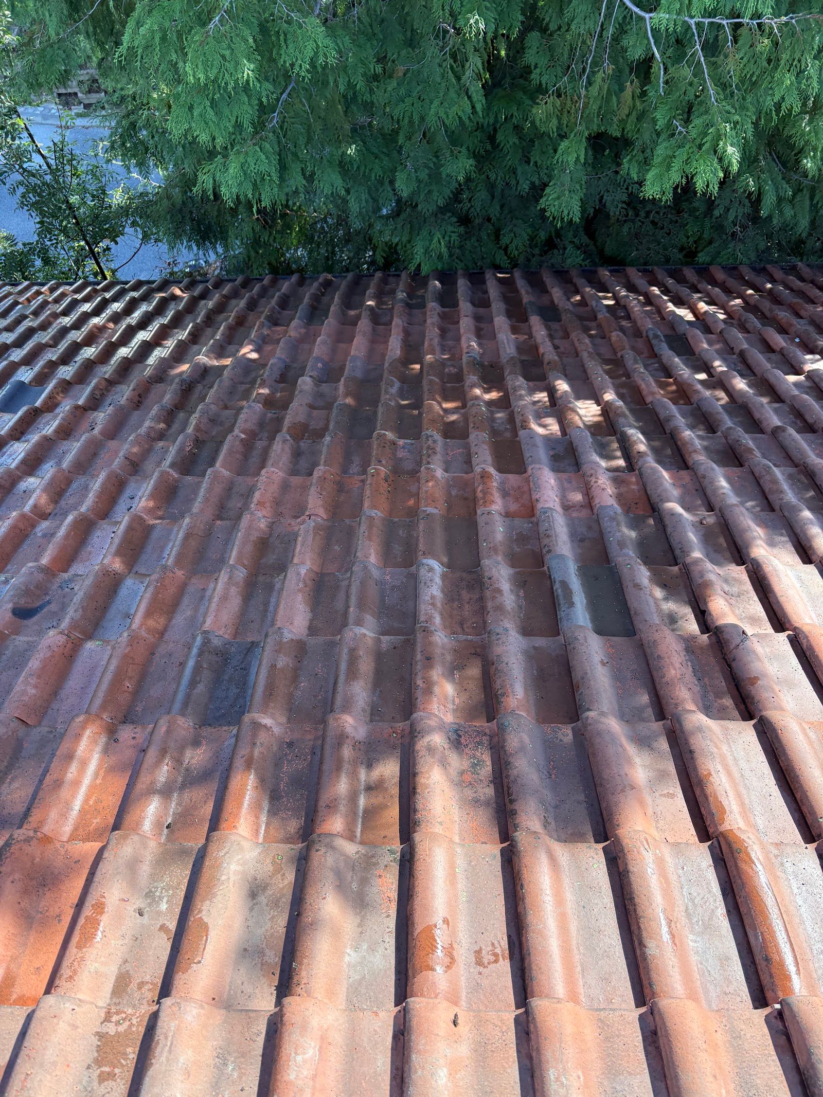 Auvergnate de Couverture